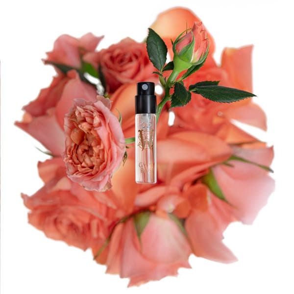 Gypsy Rose