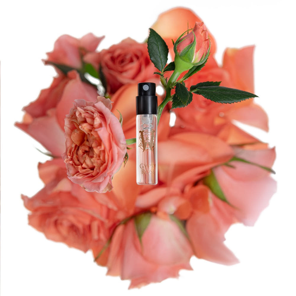 Gypsy Rose