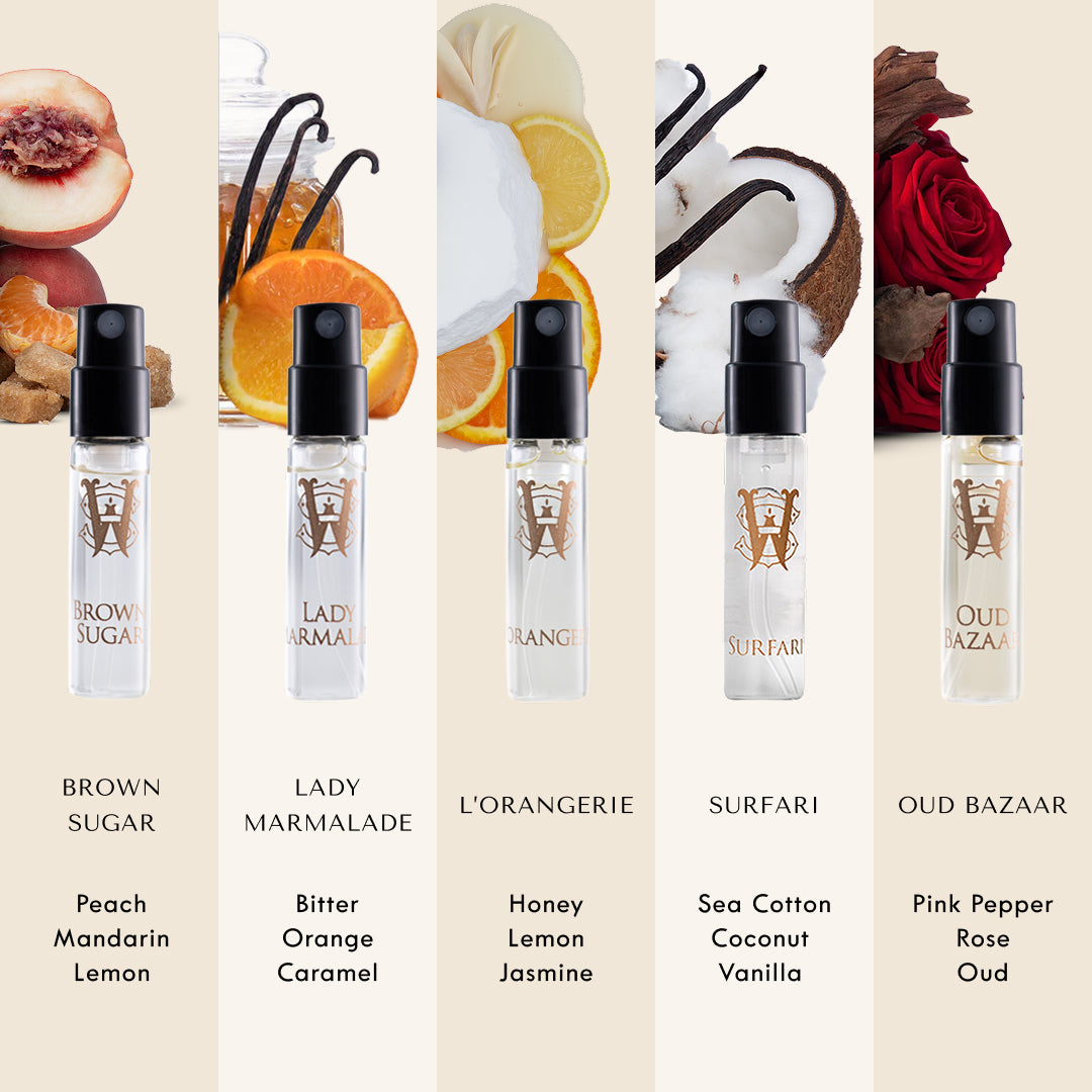 Discovery Set | Saltworks