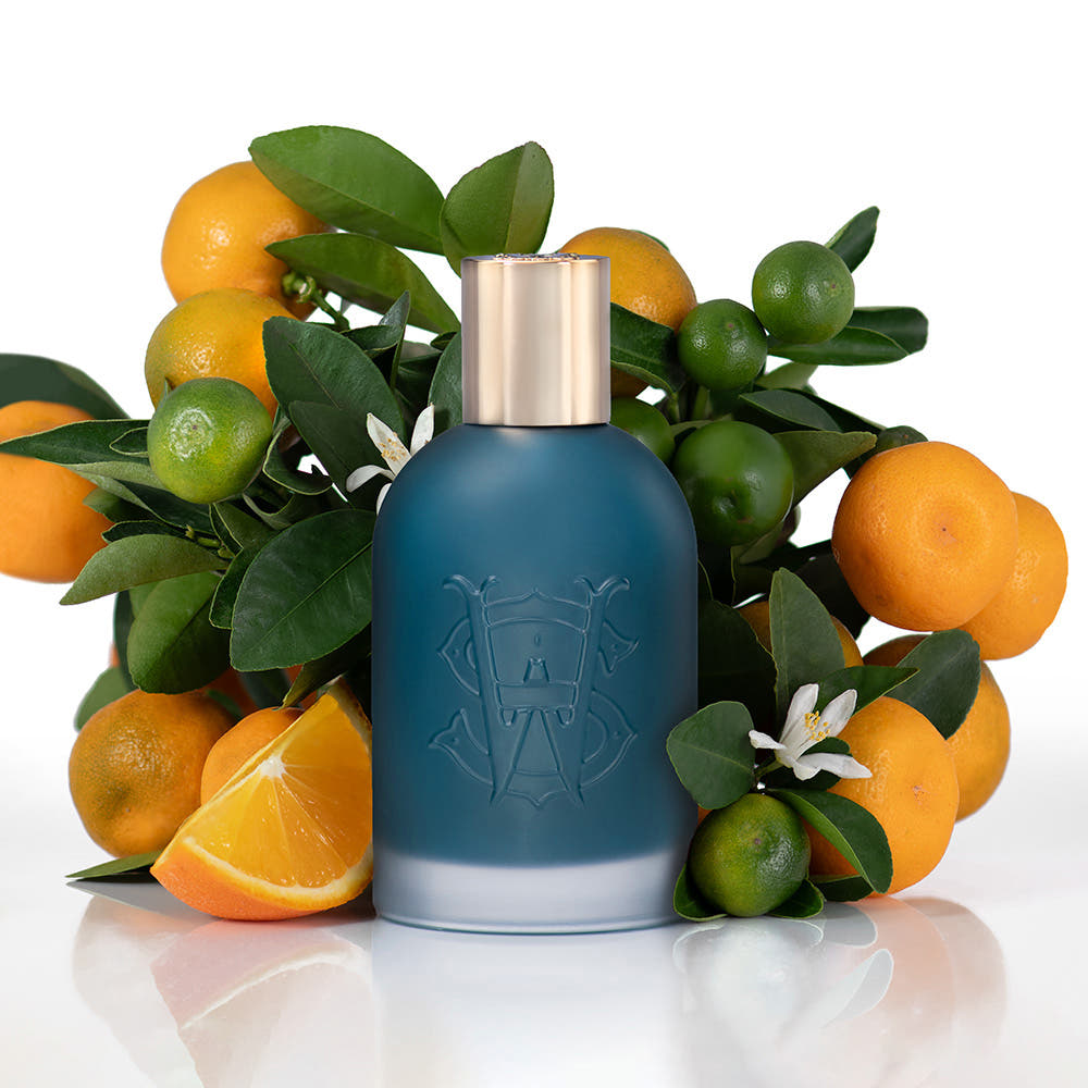 L'Orangerie Saltworks