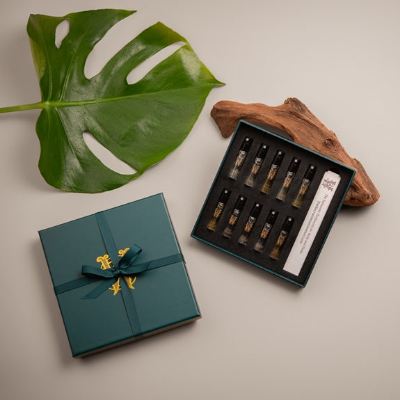 Discovery Set | Saltworks