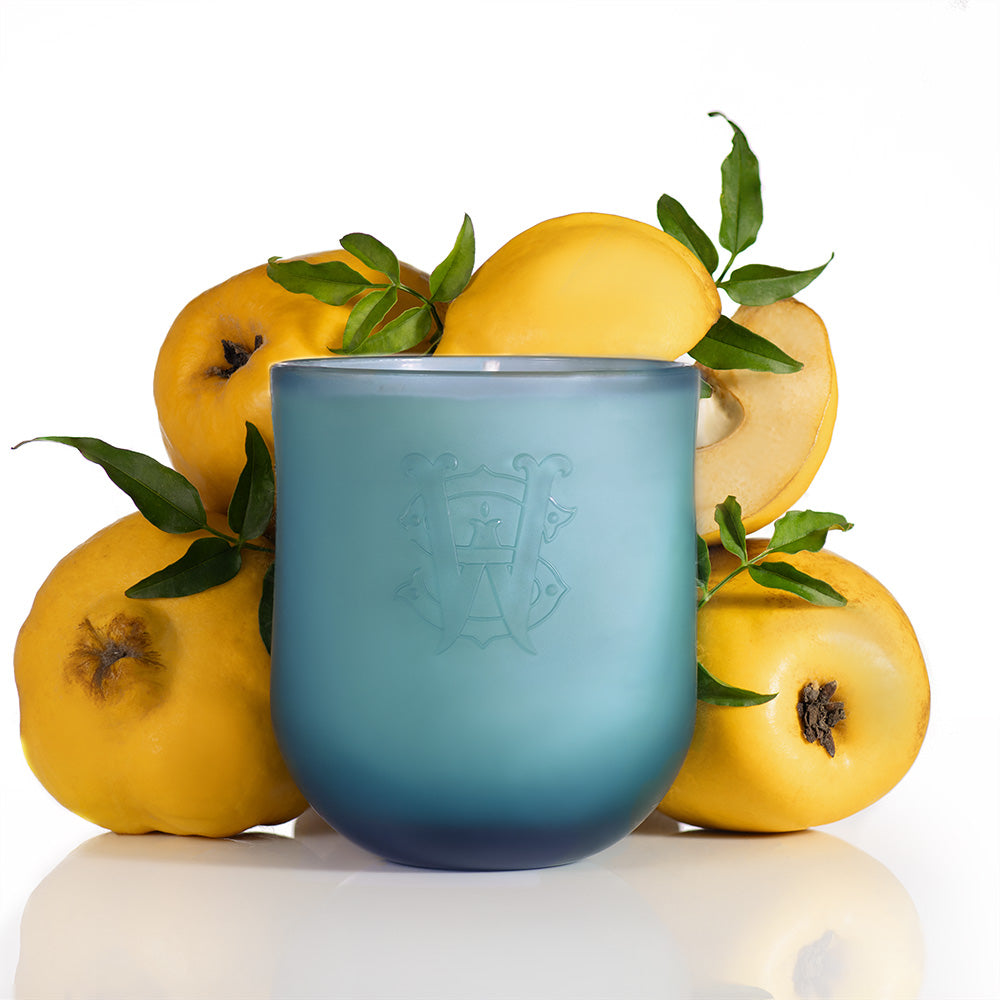 Kashmir Quince | Saltworks