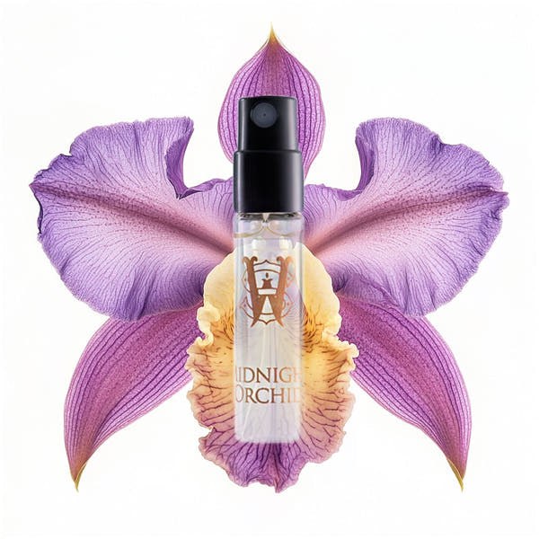Midnight Orchid