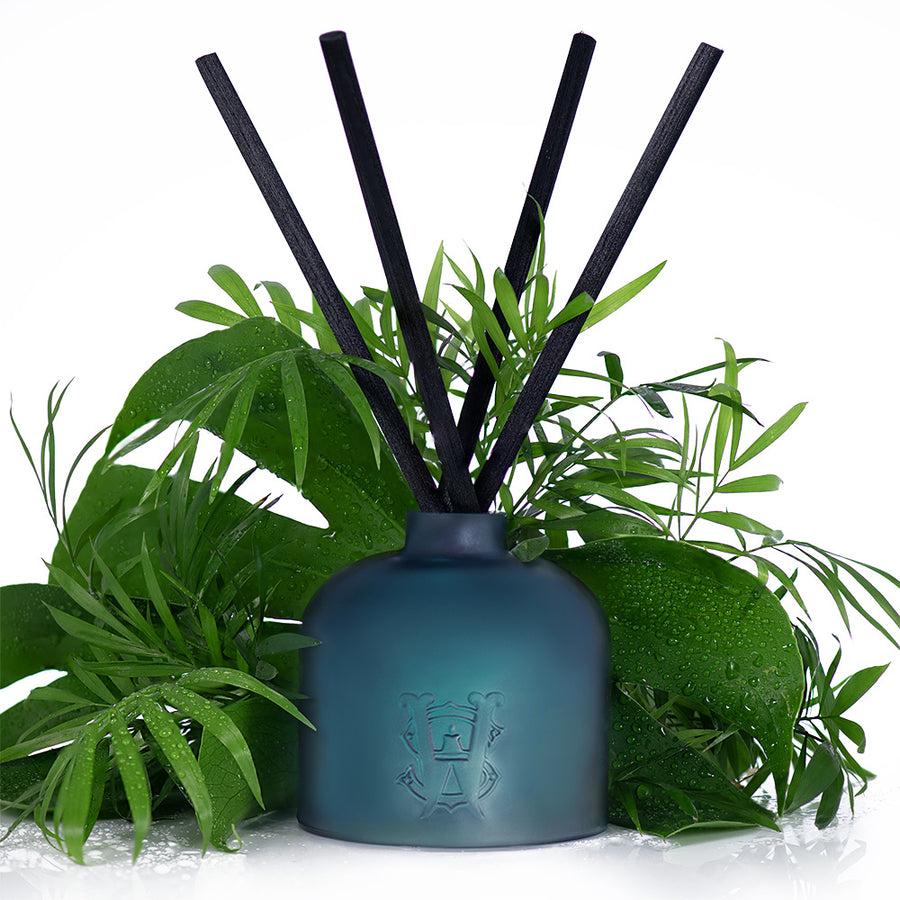 Reeds Diffusers by The Saltworks Company